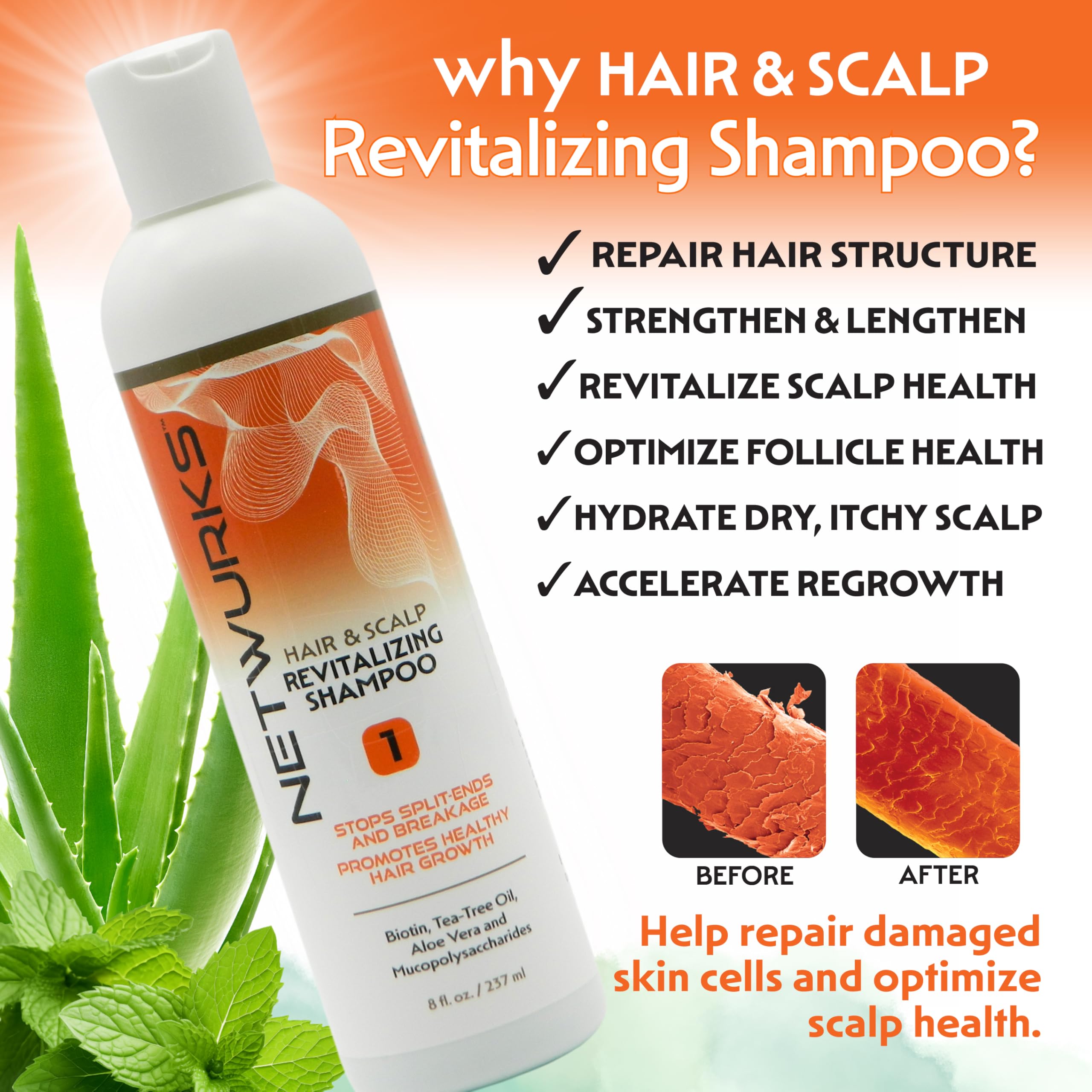 Amazon.com : NetWurks Hair & Scalp Revitalizing Shampoo | Helps